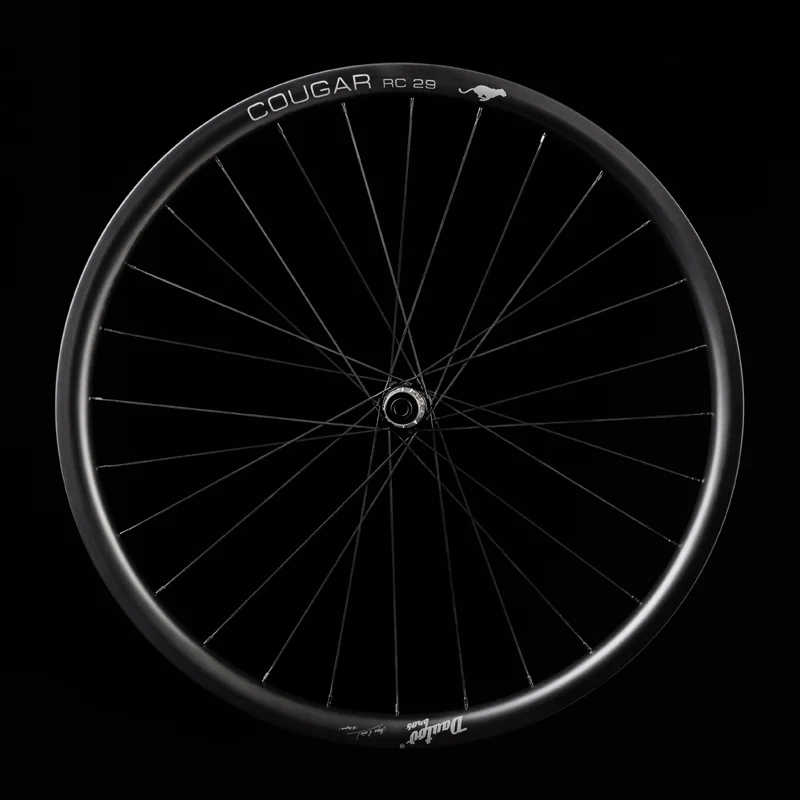 Carbon Fiber Wheelset MTB DAUTOV Bros COUGAR RC 29er Boost Disc Brake